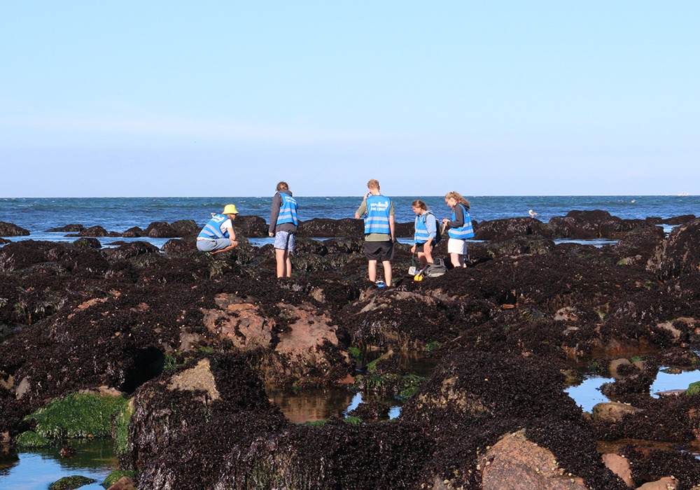Helgoland_2022_Studis_am_Rockpool_02