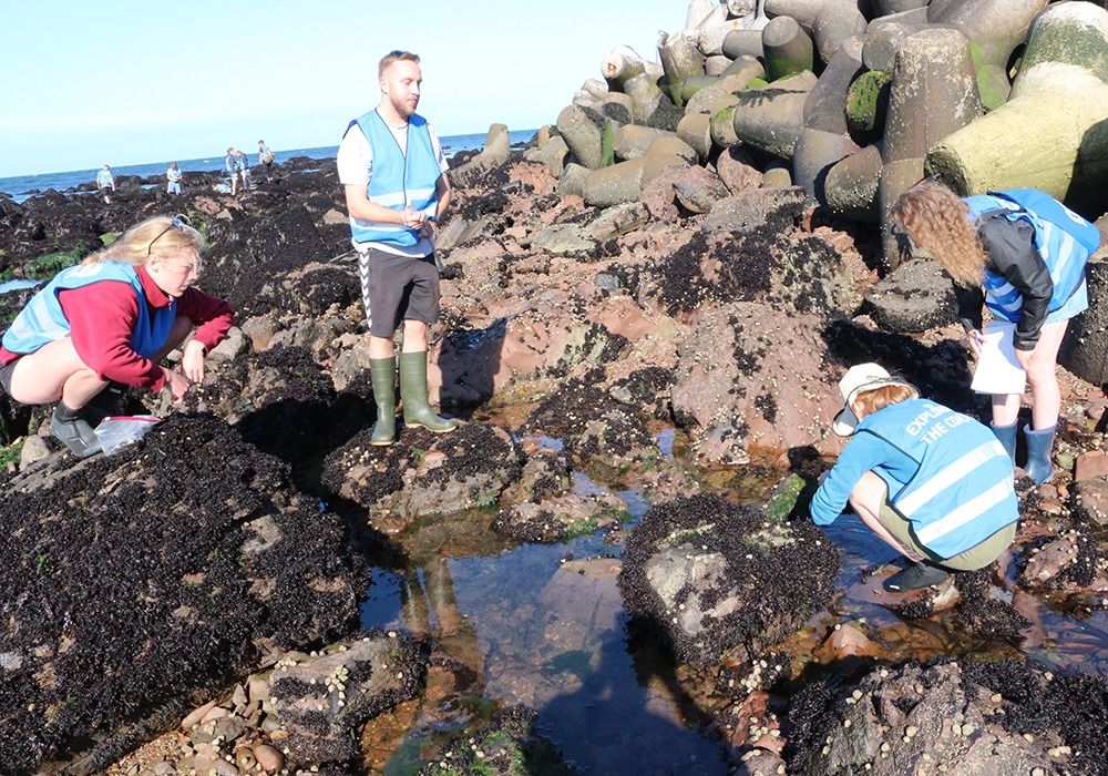 Helgoland_2022_Studis_am_Rockpool_03