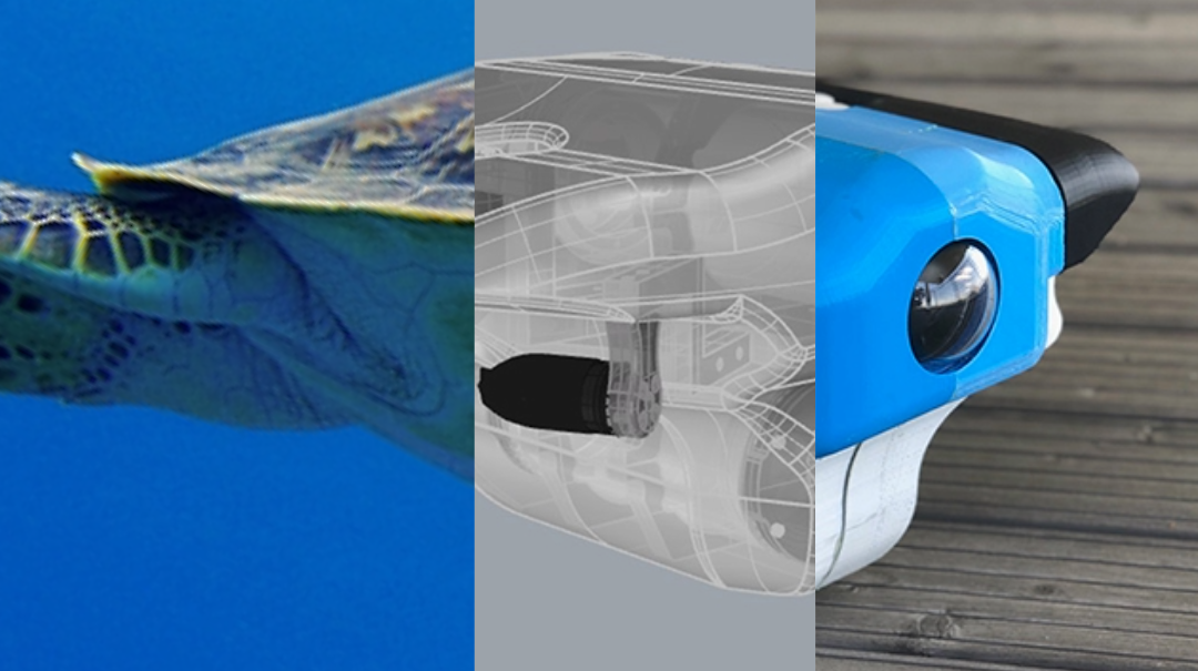 Links: Hinterflossen und Schwanz einer Seeschildkröte im Meer, Mitte: Computermodel eines Objekts mit Ähnlichkeit zur Schildkröte, Rechts: Vorderteil eines Unterwasserroboters (ROV), der in seiner Umströmung einer Schildkröte nachempfunden ist.